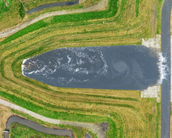 Piekberging Haarlemmermeer